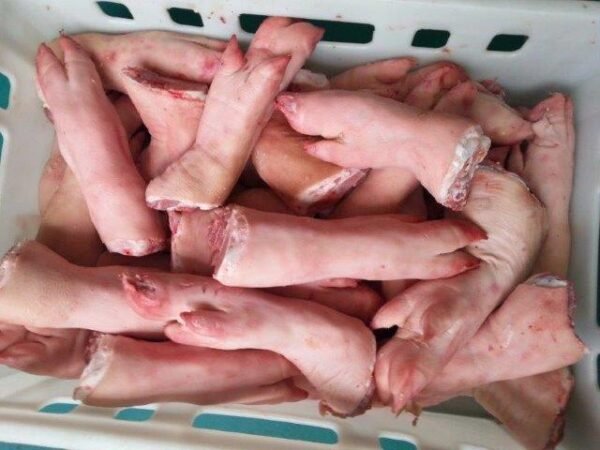 Wholesale Frozen pork